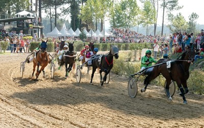 Resultados: 4ª Jornada do Campeonato Nacional de Cavalos de Corridas