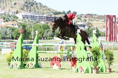 CSN-B Abrantes: Ivo Carvalho vence pela segunda vez o Grande Prémio