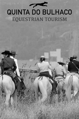 Quinta do Bulhaco aposta no Turismo Equestre