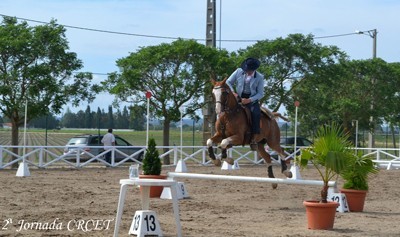Resultados: 2&ordf; Jornada do Campeonato Regional de Equita&ccedil;&atilde;o de Trabalho