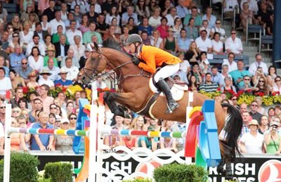 Leilão Online: Zenith, Aquila, Utascha, Chuck Blue, Djumpsina e Eloma’s Blue