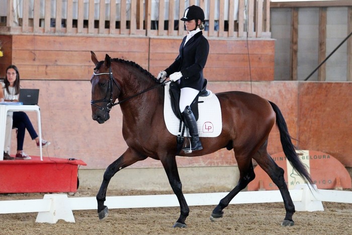 Fotos: (c) Aurélio Grilo