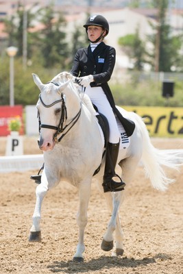 Lusitano «Zidane» a estrela dos Campeonatos de Dressage dos Balcãs