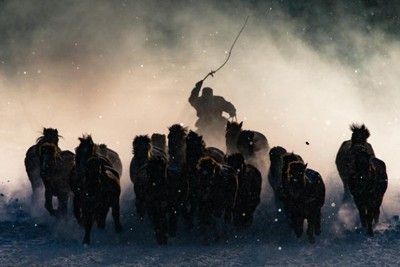 Imagem de cavaleiro da Mongólia vence concurso de fotos da National Geographic