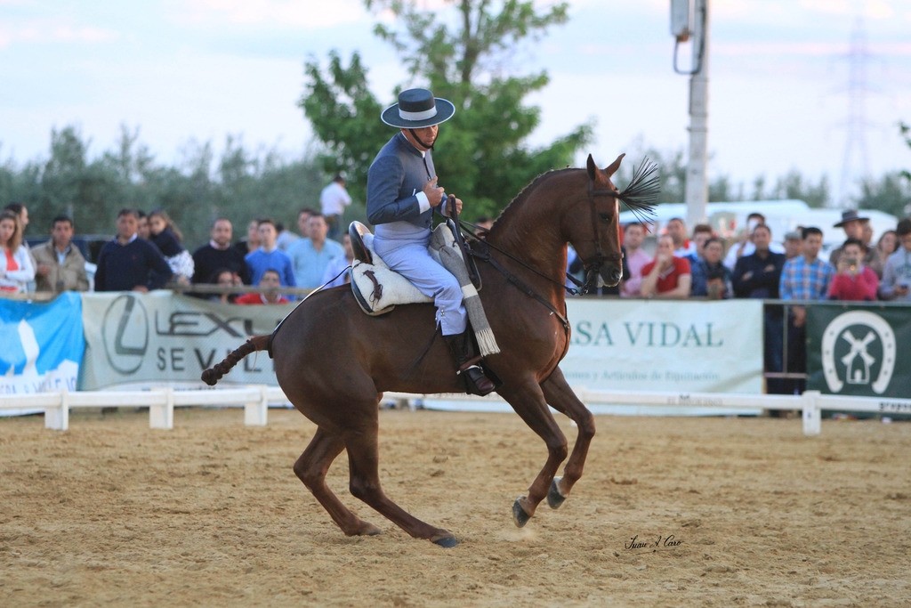 Foto: (c) Juan A. Carlos