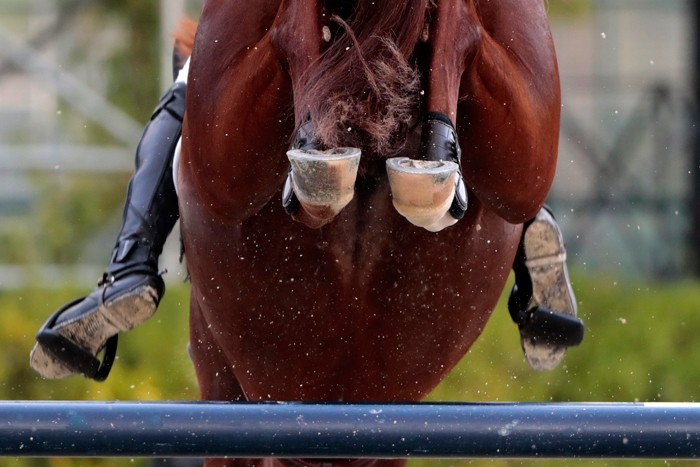 Photo: (c) Jim Hollander