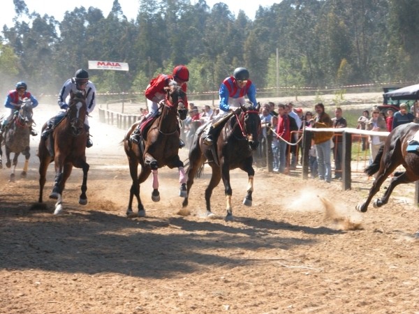 VI Feira do Cavalo da Maia