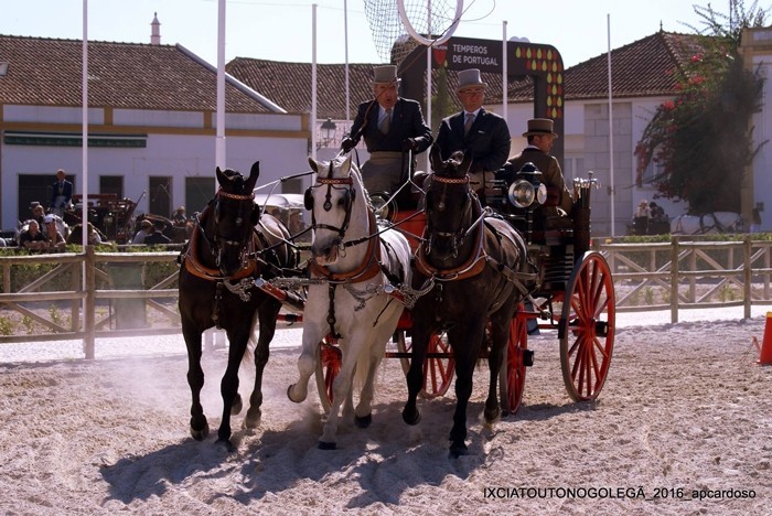 Fotos: (c) António Pires Cardoso