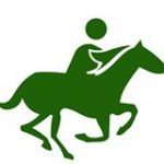Associação Equestre Bragança (FEP Nº 3944) 1*
