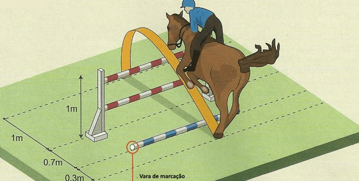cavalo pulando, concorrência, obstáculo, saltar, esporte