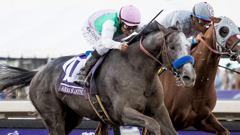 320 melhor ideia de Corrida de cavalos