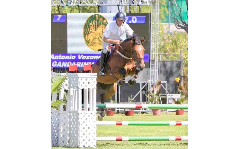 Cavalos Qualificados para os Critérios de 4, 5 e 6 Anos